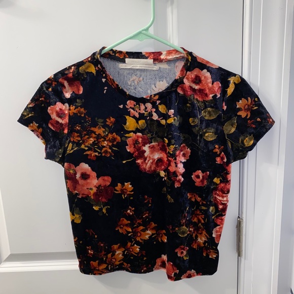 Urban Outfitters Tops - Urban Outfitters velvet cropped top